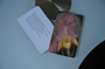 L&rsquo;énergie mentale