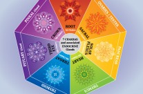 La voyance et les chakras